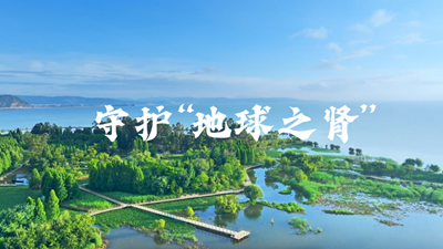 守护“地球之肾”